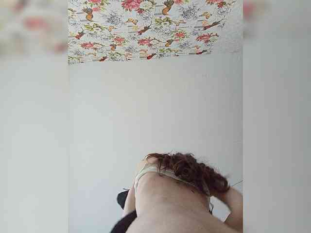 Kissa-is-klassa-a webcam