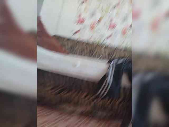 Kissa-is-klassa-a webcam