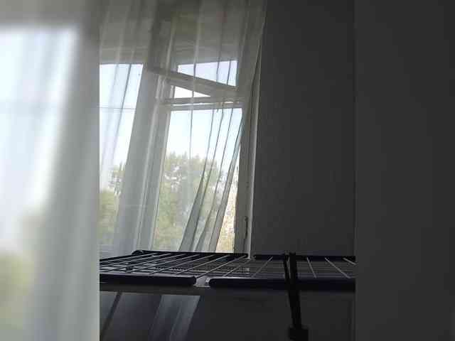 Kissa-is-klassa-a webcam