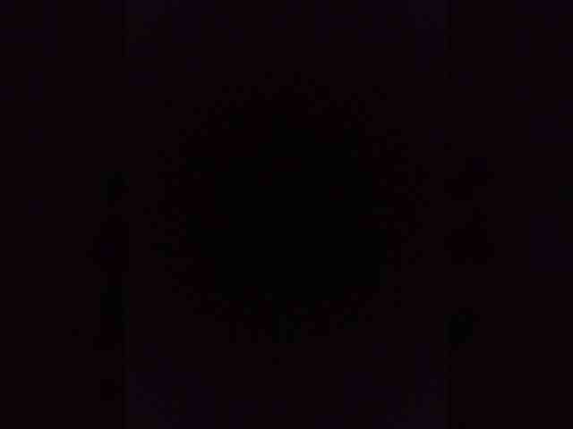 Kissa-is-klassa-a webcam