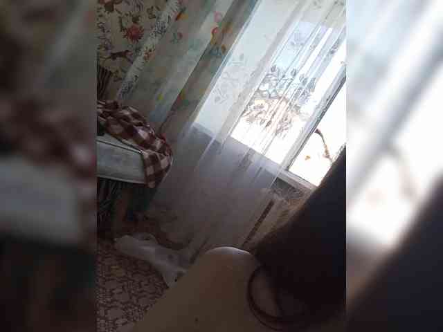 Kissa-is-klassa-a webcam