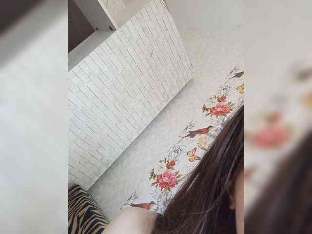 Kissa-is-klassa-a webcam