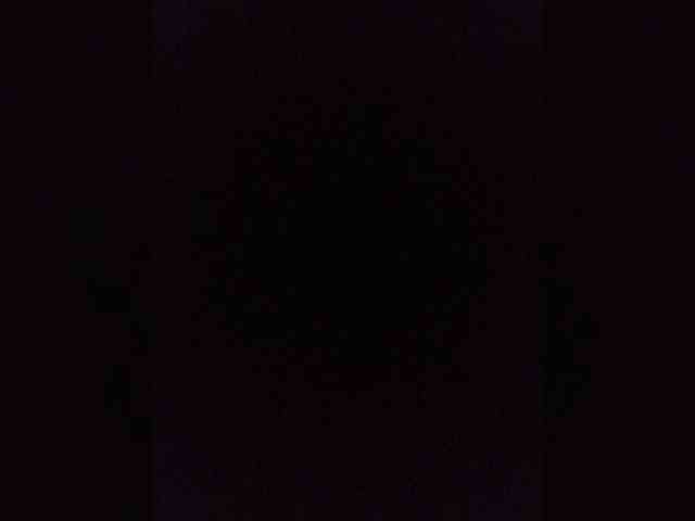 Kissa-is-klassa-a webcam