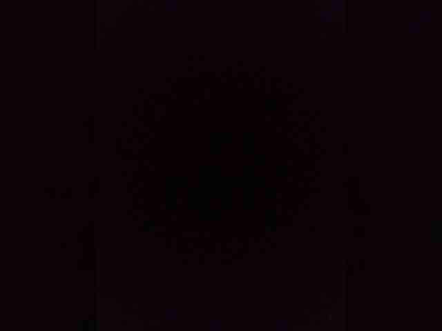 Kissa-is-klassa-a webcam