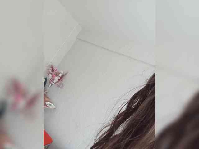 Kissa-is-klassa-a webcam
