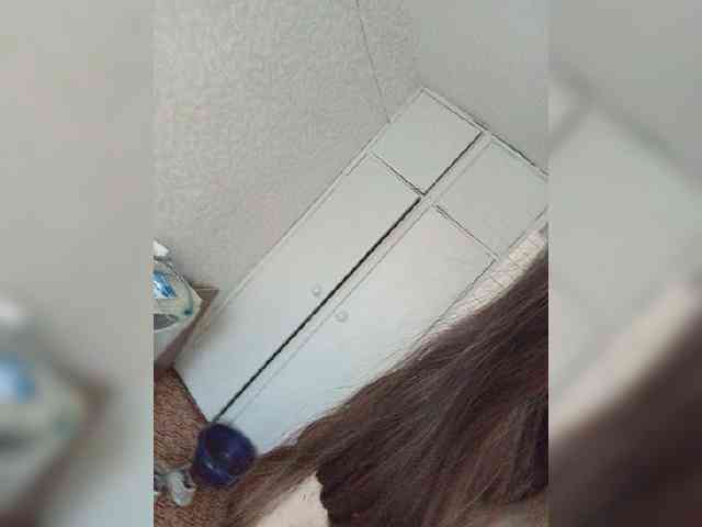Kissa-is-klassa-a webcam