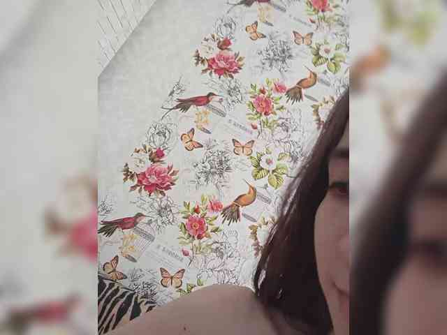 Kissa-is-klassa-a webcam