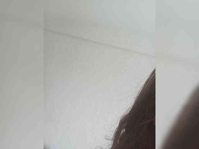 Kissa-is-klassa-a webcam