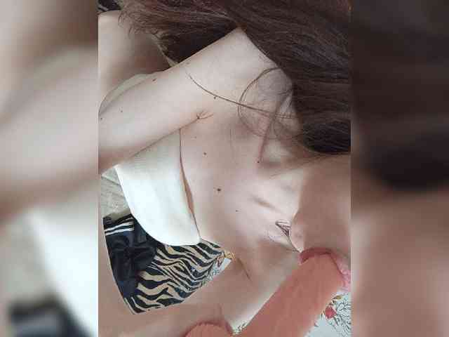 Kissa-is-klassa-a webcam
