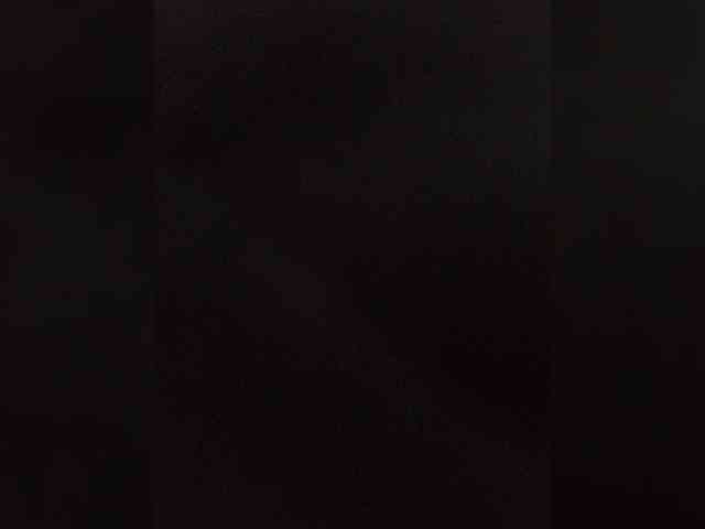 Kissa-is-klassa-a webcam