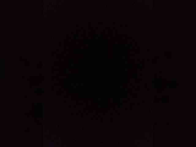 Kissa-is-klassa-a webcam