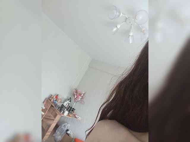 Kissa-is-klassa-a webcam