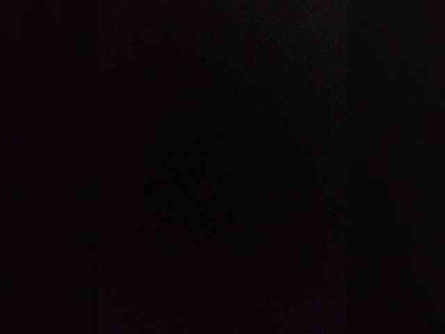Kissa-is-klassa-a webcam