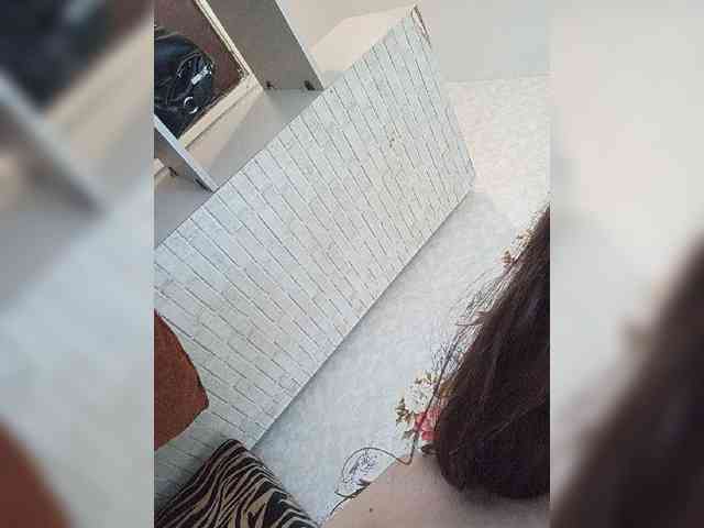 Kissa-is-klassa-a webcam
