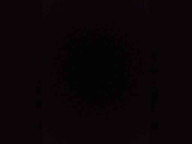 Kissa-is-klassa-a webcam