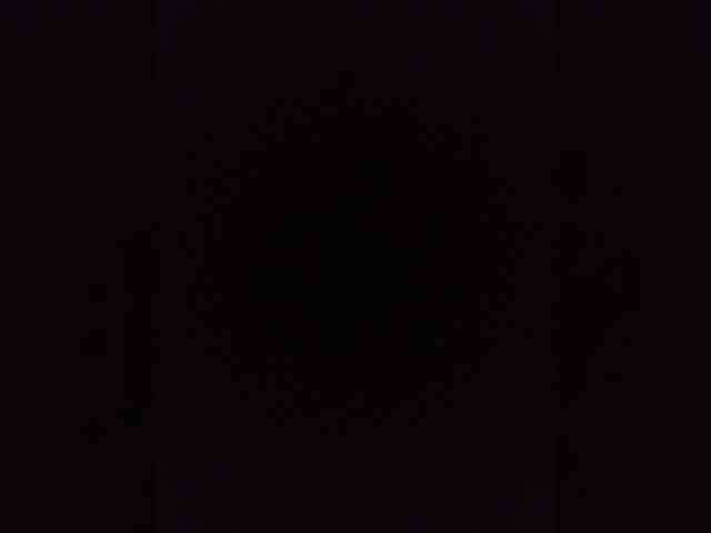 Kissa-is-klassa-a webcam