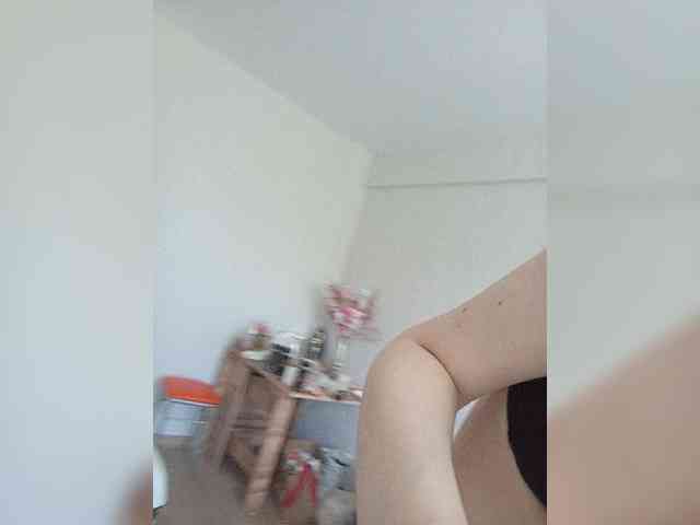 Kissa-is-klassa-a webcam