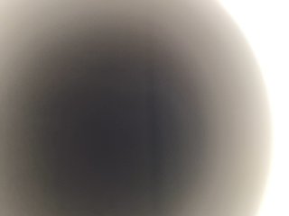 SEXSl