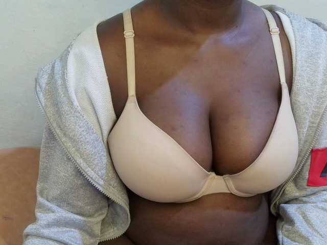 Preview of pretty-lioness