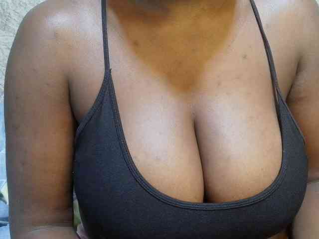 Model: pretty-lioness