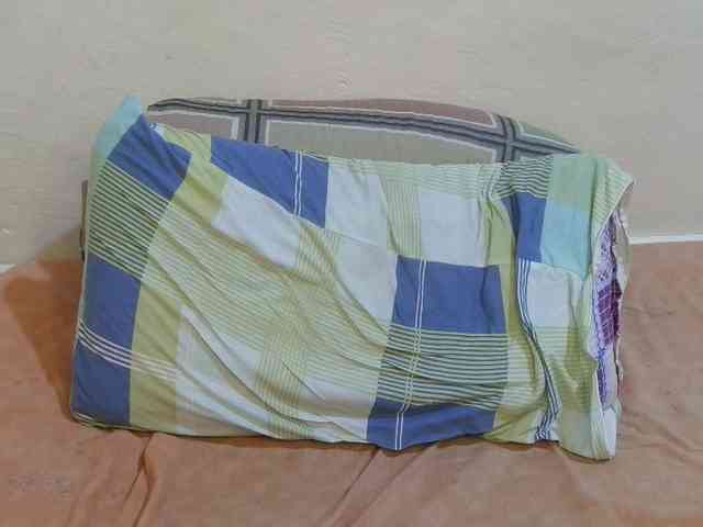 pretty-lioness webcam