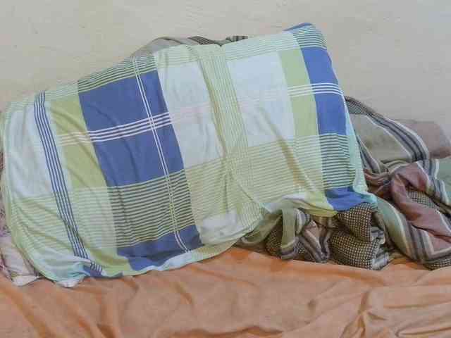 pretty-lioness webcam