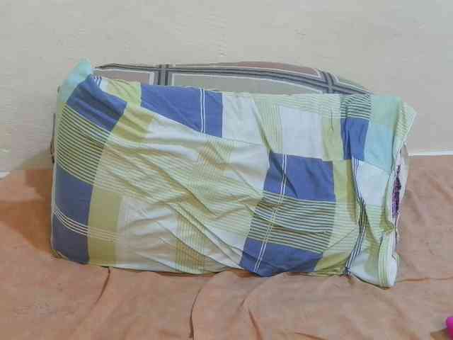 pretty-lioness webcam