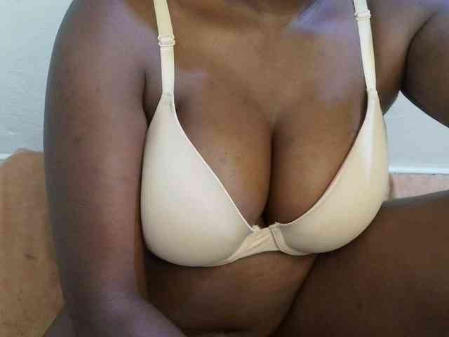 pretty-lioness webcam