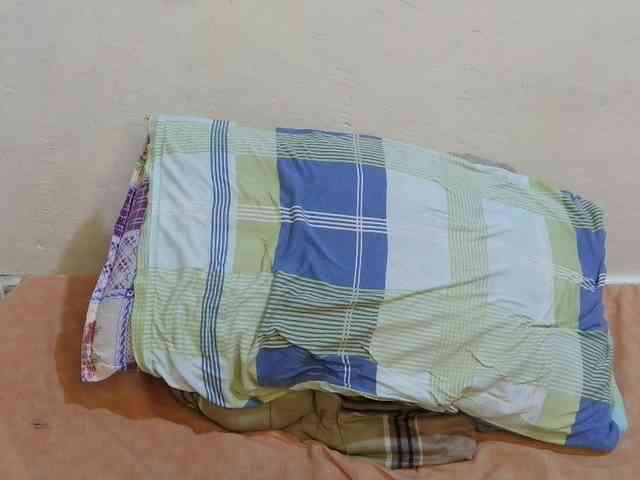 pretty-lioness webcam