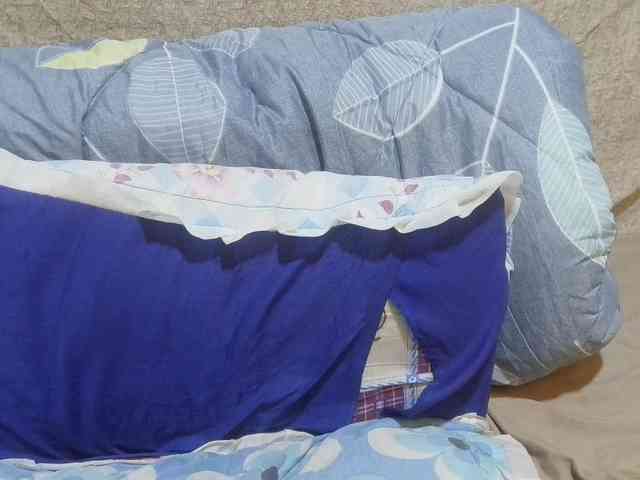 pretty-lioness webcam