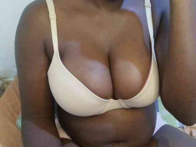 pretty-lioness webcam