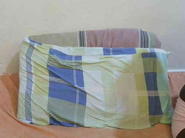 pretty-lioness webcam