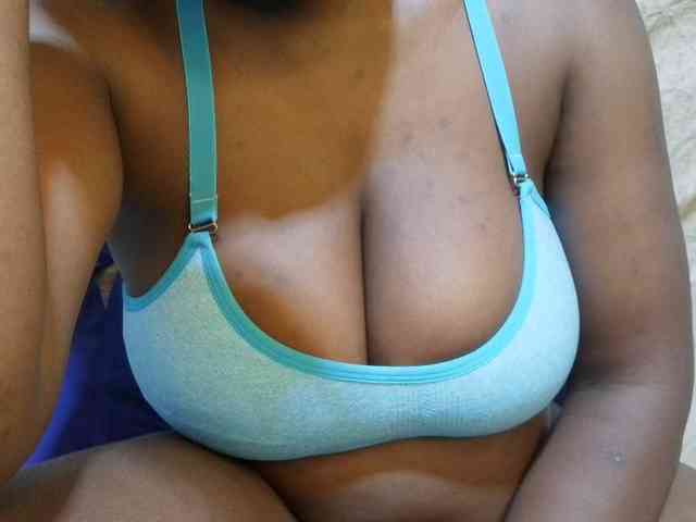 pretty-lioness webcam
