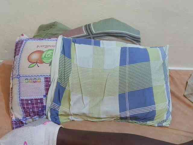 pretty-lioness webcam