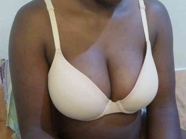 pretty-lioness webcam