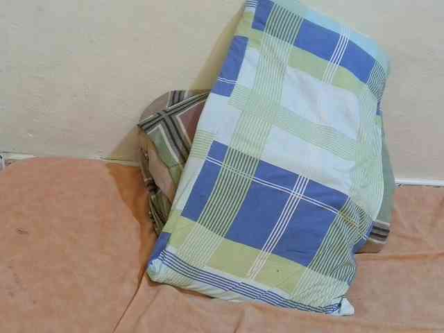 pretty-lioness webcam