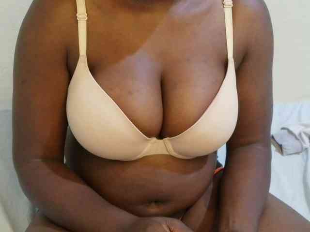 pretty-lioness webcam