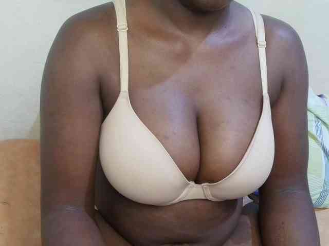 pretty-lioness webcam