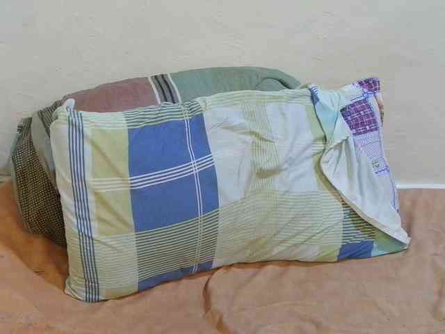 pretty-lioness webcam