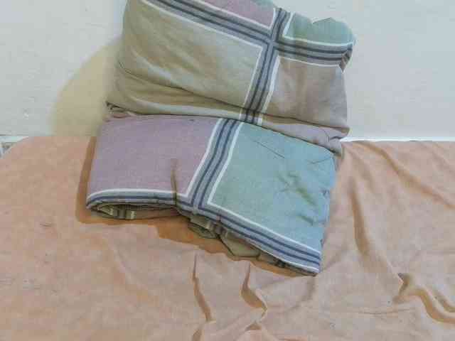 pretty-lioness webcam