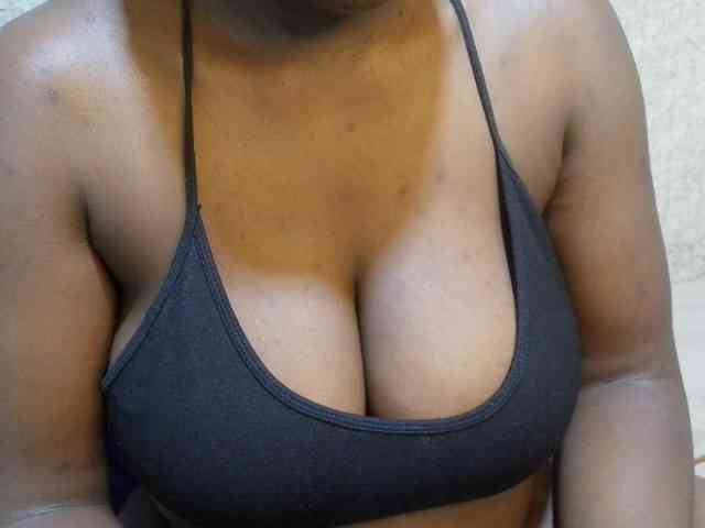 Model: pretty-lioness