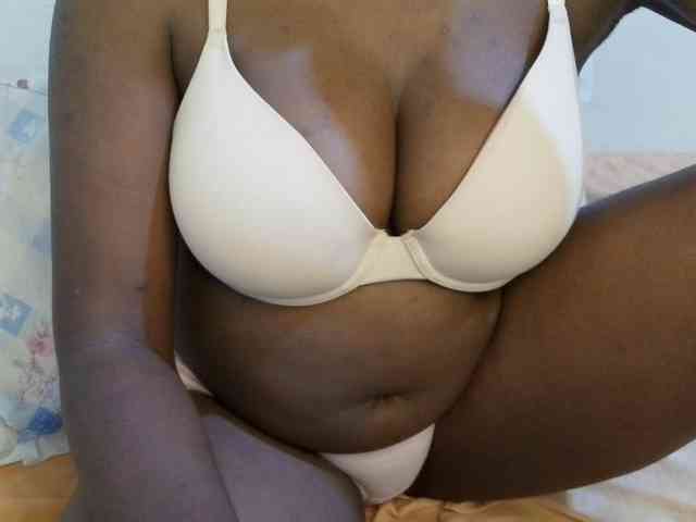 pretty-lioness webcam