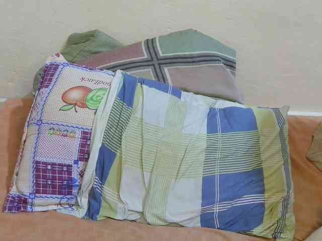 pretty-lioness webcam