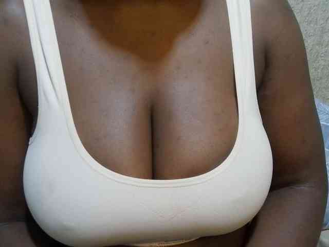 Model: pretty-lioness
