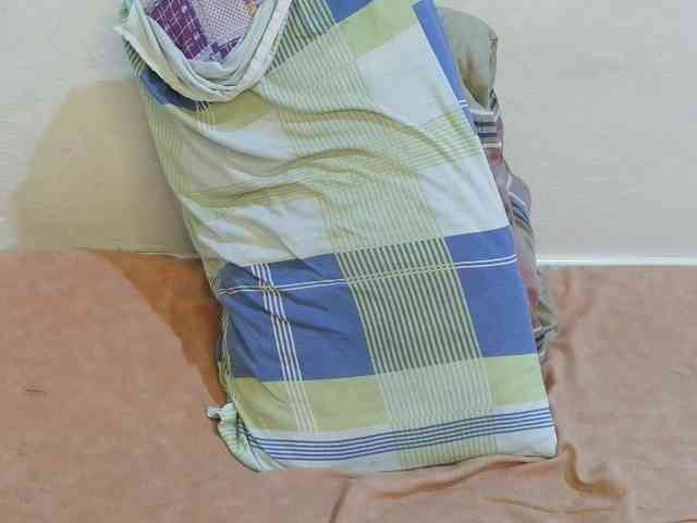 pretty-lioness webcam