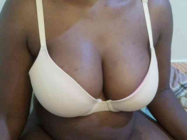 pretty-lioness webcam