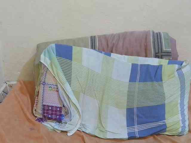 pretty-lioness webcam