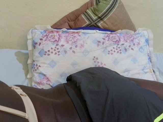 pretty-lioness webcam