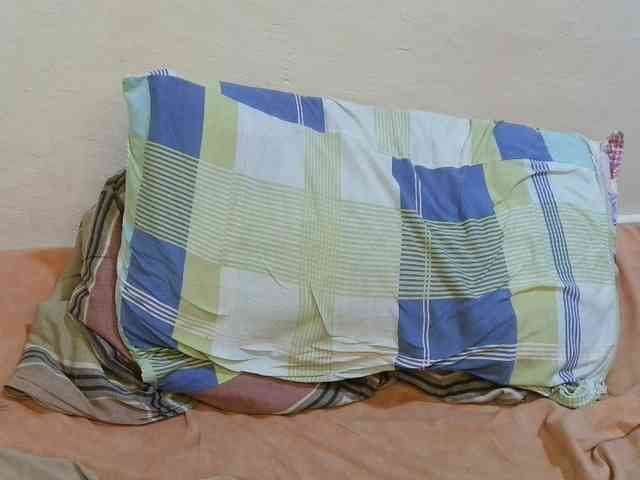 pretty-lioness webcam