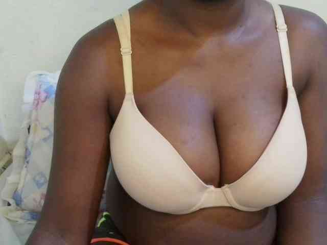 pretty-lioness webcam